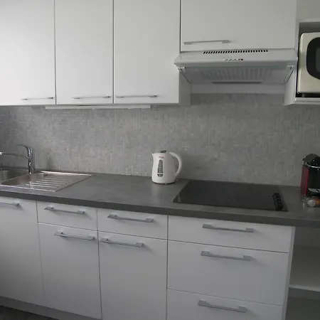 President Luxurious Center Apartment